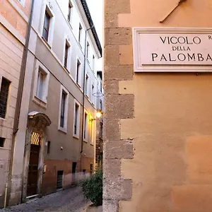 3* Affittacamere Imperium Navona